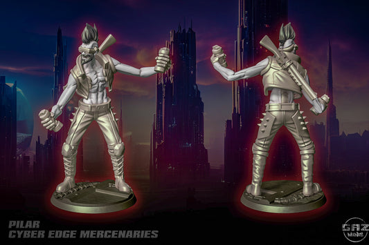 Cyber Edge Merc: Pilar